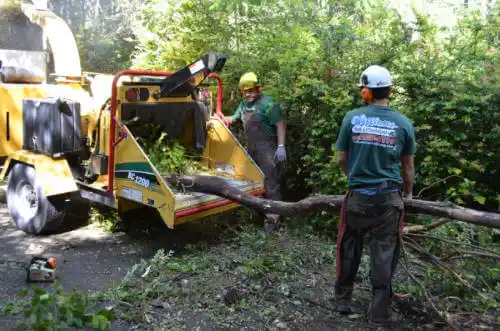 tree services Oxnard